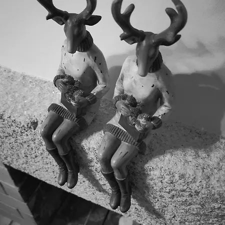 Casa Do Castelo Sernancelhe