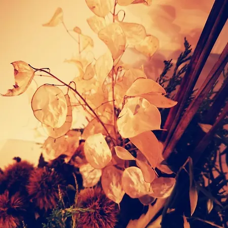 Casa Do Castelo Sernancelhe