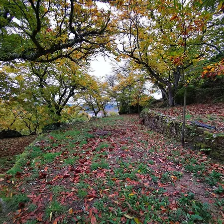 Πανσιόν Casa Do Castelo 3*