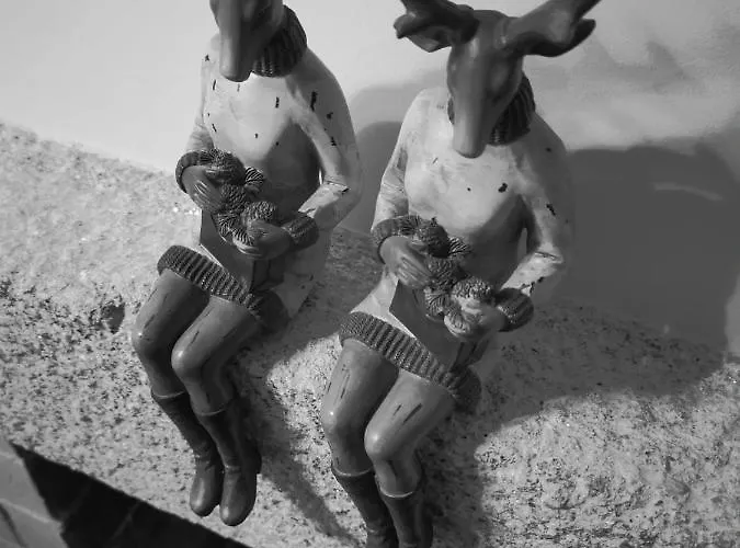 Casa Do Castelo Sernancelhe