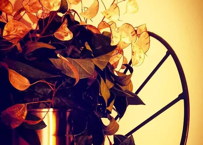 Casa Do Castelo Pensionat 3*