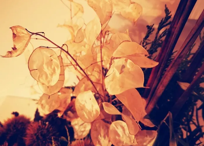 Casa Do Castelo Sernancelhe