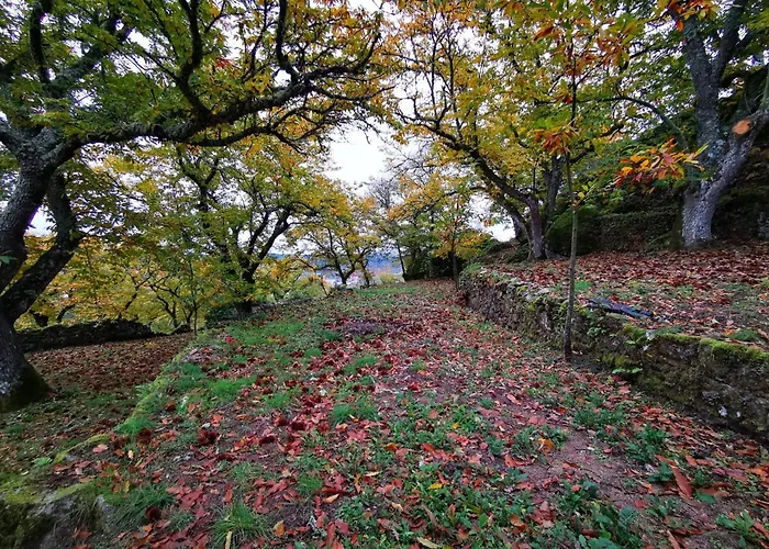 Pensionat Casa Do Castelo 3*